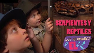 SERPIENTES Y REPTILES [upl. by Amiel]