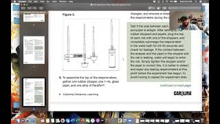 Cellular Respiration of Germinating Peas Lab [upl. by Hartill]