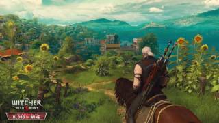 The Witcher 3 Blood and Wine Toussaint Beauclair exploration night ost [upl. by Esilegna]