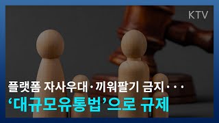 플랫폼 규제 어떻게 자사우대·끼워팔기··· 대규모유통법으로 규제 [upl. by Rj]