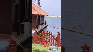 Poovar Island Resort  Shorts  Couples Trivandrum love music [upl. by Llenaj]