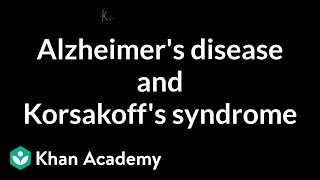 Alzheimers disease and Korsakoffs syndrome  Processing the Environment  MCAT  Khan Academy [upl. by Niehaus]