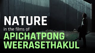 Nature In the Films of Apichatpong Weerasethakul  A Video Essay [upl. by Aihtenyc]