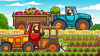 Farm Works And Tractor Dewulf Harvesting Beetroot amp Redbeet  Vehicles Farm [upl. by Langill]