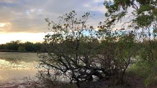 Horseshoe Lagoon Rinyirru Lakefield National Park QLD [upl. by Cathi362]