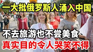 一大批俄罗斯人涌入中国！不去旅游也不尝美食，真实目的让人哭笑不得！ [upl. by Mackoff]