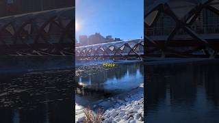 One Of The Coolest And Unique Bridges In All Of Canada  The Peace Bridge [upl. by Wong595]