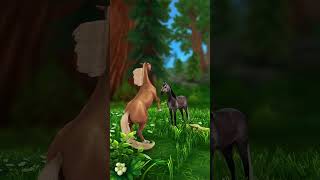 ❤😳 тг Pretty Channel horse starstable [upl. by Yaakov]