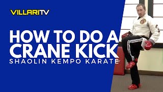 How to do a Crane Kick  The Karate Kid and Cobra Kai [upl. by Rooke]