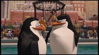 Os Pinguins De Madagascar Fora De contexto Meme [upl. by Aynnek272]