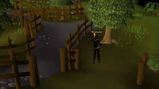 Best Place to Cut Oak Tree in OSRS [upl. by Weinman697]