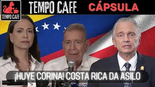 cápsula  ¡HUYE CORINA COSTA RICA da Asilo  TEMPO CAFE [upl. by Marder]