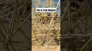 New Strandbeest in 2024 From Artist Theo Jansen [upl. by Ilyak]