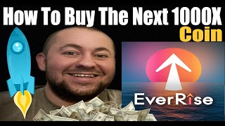 How To Buy  EVERRISE The Next 1000X MEME Coin  Step By Step Guide [upl. by Llertal384]