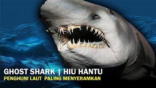 MAKHLUK HANTU PENGHUNI LAUT PALING MENYERAMKAN  GHOST SHARK [upl. by Eugaet]