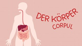 Der Körper  Corpul uman [upl. by Darryl308]