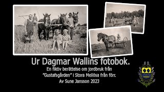 Ur Dagmar Wallins fotobok [upl. by Aicyla]