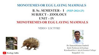 Monotremes Or Egg Laying Mammals  BSc Semester 1  ZOOLOGY  By Dr R K Tamboli [upl. by Donn]