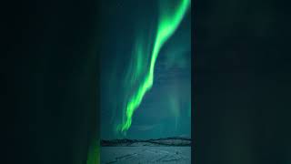 Northern Lights On The Frozen Lake  Inuvik NWT Canada shorts [upl. by Agan785]