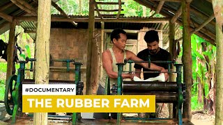 THE RUBBER FARM DOCUMENTARY  TRAILER [upl. by Doloritas]