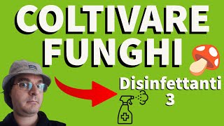 COLTIVARE FUNGHI 🍄  Disinfettanti 3  Cloro ipoclorito candeggina e varichina [upl. by Acalia231]