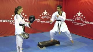 PRESENTACION DEL PROGRAMA MUNDIAL DE ENTRENAMIENTO DE TAEKWONDO [upl. by Elohcan]