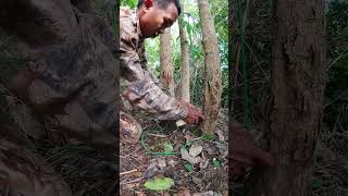 alanhdva trap bushcraft alanhdva [upl. by Engleman]