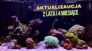 Akwarium Morskie  2 LATA I 4 MIESIĄCE KONKURS MOJA WYGRANA reefscorpionfish ​⁠ [upl. by Salohci]