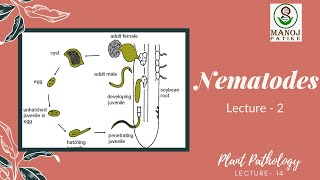 Nematodes  2  Plant Pathology  14  Life Cycle  Symptoms Exhibited  Extraction Methods [upl. by Willard901]