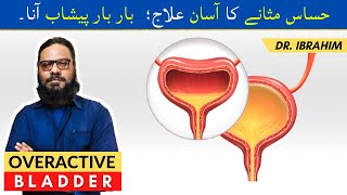 Masana Ki Hassasiat Ka Ilaj  Peshab Bar Bar Aana  Overactive Bladder OAB  Frequent Peeing [upl. by Ejroj]