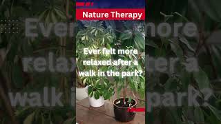 Nature Therapy NatureTherapy HealingWithNature MentalHealth OutdoorWellness EcoTherapy facts [upl. by Wulf422]