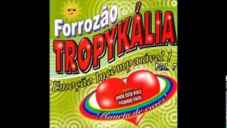 Forrozão Tropykália  Você Fugiu de Mim [upl. by Stanly175]