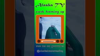 Homesteading Off Grid Living Living off the road system winter 2024 creek freeze up [upl. by Nadnal526]