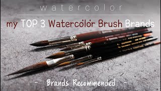 Top 3 Watercolor Brushes  Escoda DaVinci Raphael [upl. by Henigman]