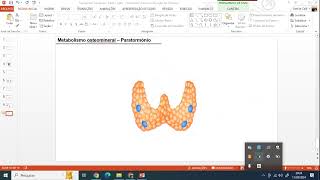 Metabolismo osteomineral  PTH em 2 minutos [upl. by Mel203]