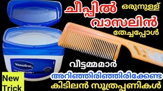 ഒരു തുള്ളി വാസലിൻ ചീപ്പിൽ തടവിയപ്പോൾ കിടിലൻ സൂത്രംവീട്ടമ്മമാർ മിസ്സ്‌ ആക്കല്ലേVaseline Tips [upl. by Reynard]