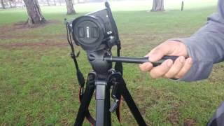 Velbon EF61 Best £50 Tripod  Review [upl. by Calv269]