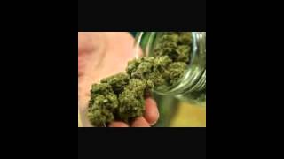 Omar ruizmi amiga la marijuana picpac timelapse stopmotion [upl. by Zales781]