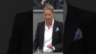 Deutschland versucht mit einer irrationalen Idee zu überleben afd aliceweidel [upl. by Udall]