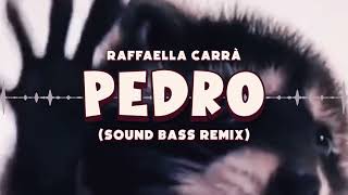 Raffaella Carrà  PEDRO tik tok hit SOUND BASS Remix pedro trendingmusic soundbass [upl. by Snow762]