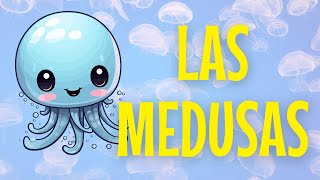 Las Medusas  vídeo educativo para niños 🪼 for kids [upl. by Nudnarb]