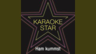 Ham kummst Karaoke Version Originally Performed by Seiler amp Speer [upl. by Hut46]