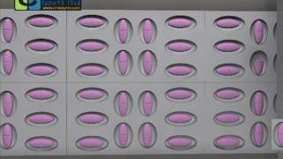 Machine Vision based Blister Fill Inspection System [upl. by Demeter]