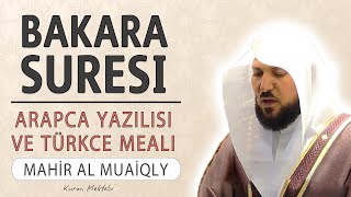 Bakara suresi anlamı dinle Mahir al Muaiqly Bakara suresi arapça yazılışı okunuşu ve meali [upl. by Canty578]