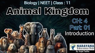 Animal Kingdom Class 11 Biology CH4 NCERT  Classification Of Animals Animated Video3D English L1 [upl. by Mascia]