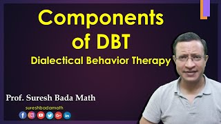 Essential Components of Dialectical Behavior Therapy DBT [upl. by Okiram]