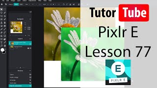 Pixlr E Tutorial  Lesson 77  Curves [upl. by Veta]