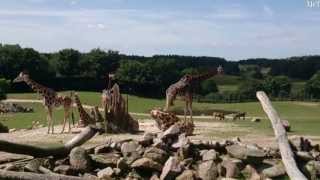 Ree Park  Ebeltoft Safari 2013 HD Full Danmark [upl. by Samau457]