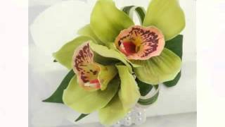 Green Cymbidium Orchid  Collection Of Nice And Rare Flower Images [upl. by Yahsan190]