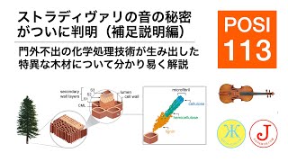 ストラディヴァリの音の秘密がついに判明（補足説明編）：門外不出の化学処理技術が生み出した特異な木材について分かり易く解説 [upl. by Ilana]